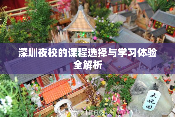 深圳夜校的课程选择与学习体验全解析