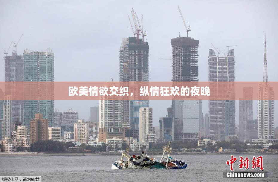 欧美情欲交织，纵情狂欢的夜晚