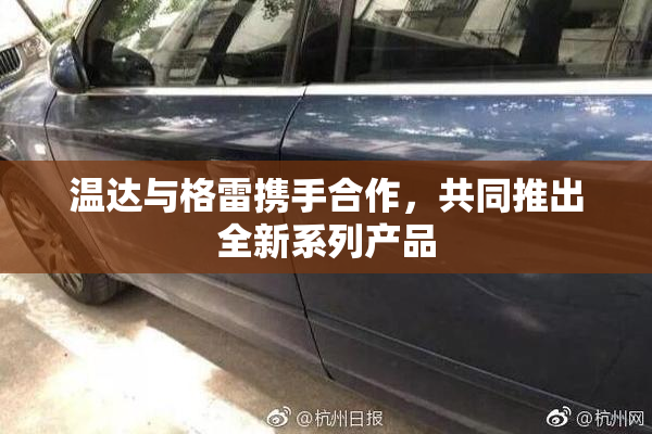 温达与格雷携手合作，共同推出全新系列产品