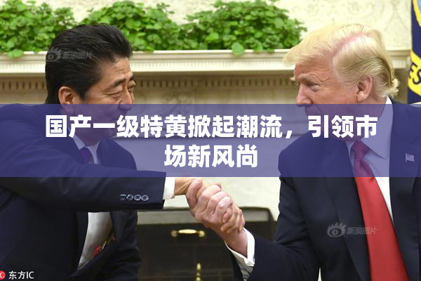 国产一级特黄掀起潮流，引领市场新风尚