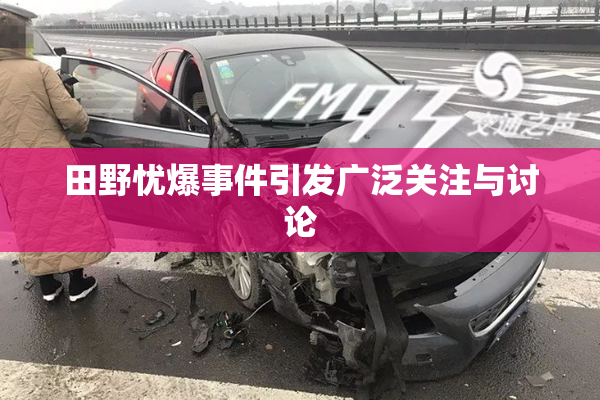 田野忧爆事件引发广泛关注与讨论