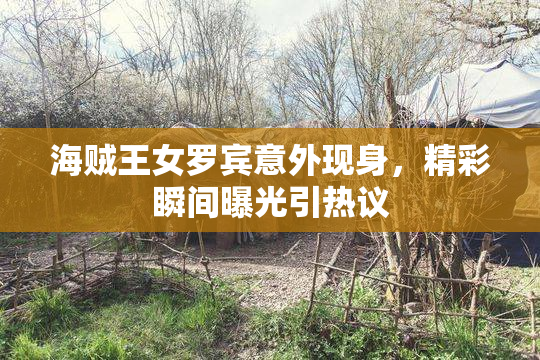 海贼王女罗宾意外现身，精彩瞬间曝光引热议