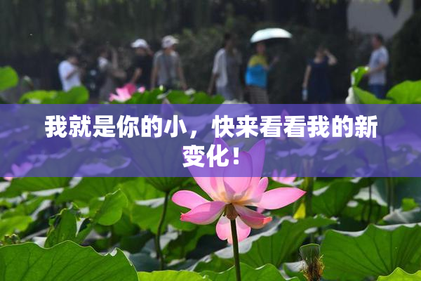 我就是你的小，快来看看我的新变化！