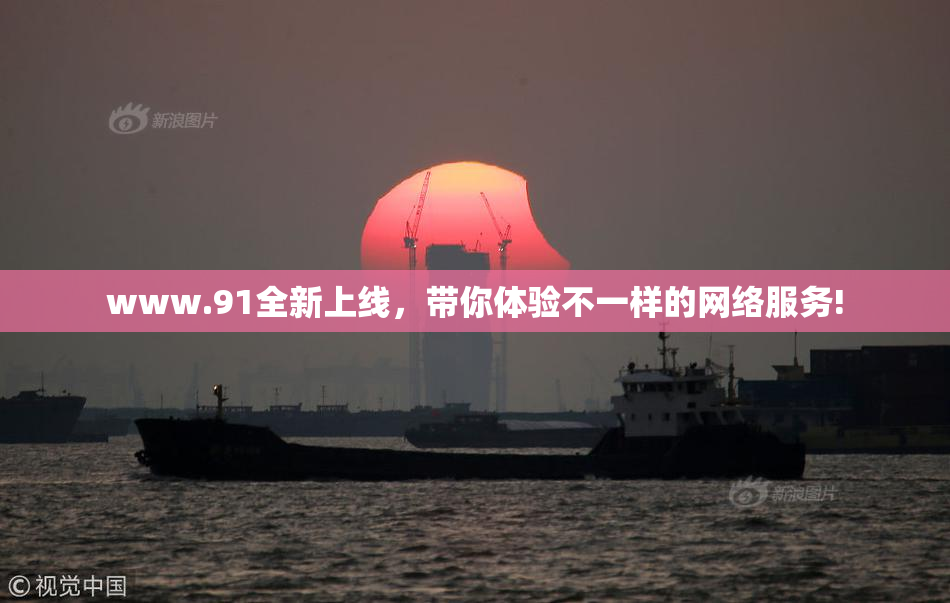 www.91全新上线，带你体验不一样的网络服务!