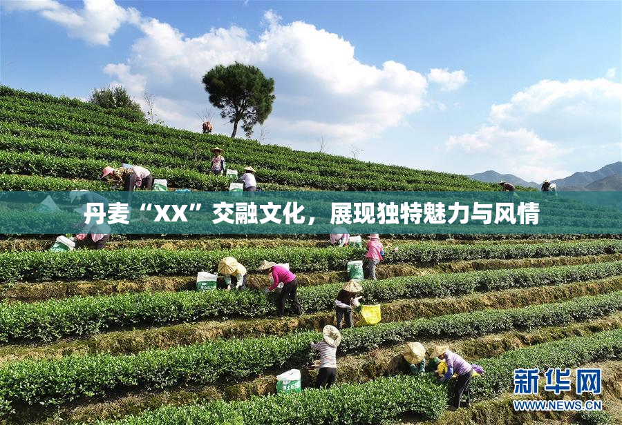 丹麦“XX”交融文化，展现独特魅力与风情