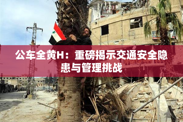 公车全黄H：重磅揭示交通安全隐患与管理挑战
