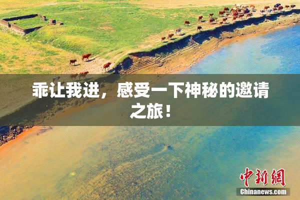 乖让我进，感受一下神秘的邀请之旅！