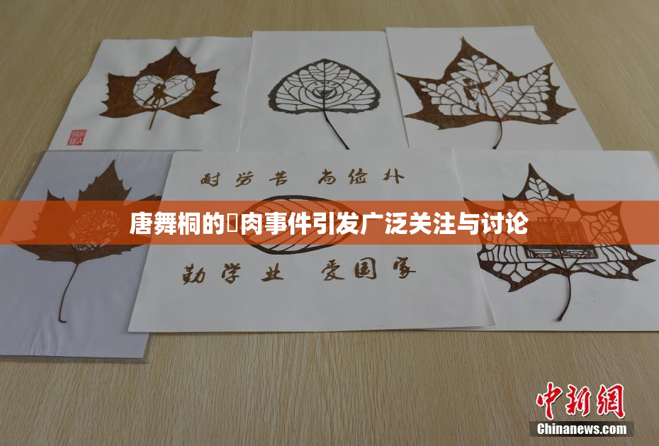 唐舞桐的婬肉事件引发广泛关注与讨论