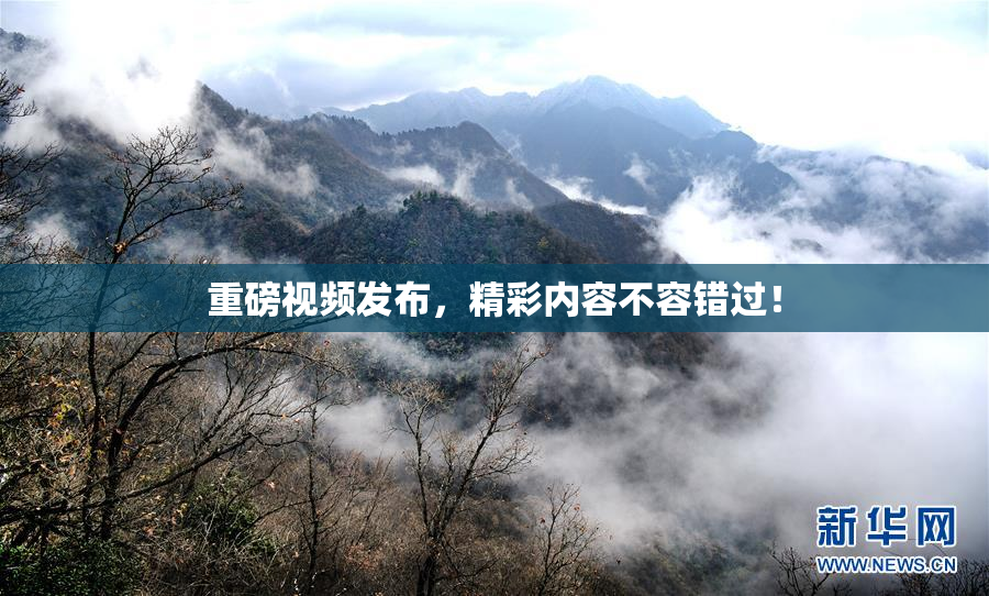 重磅视频发布，精彩内容不容错过！