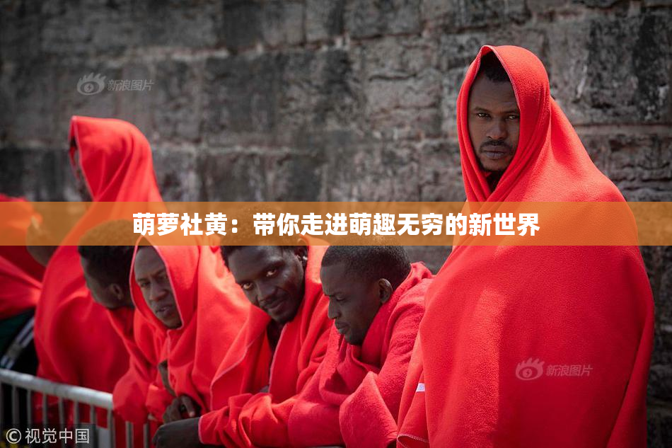 萌萝社黄：带你走进萌趣无穷的新世界