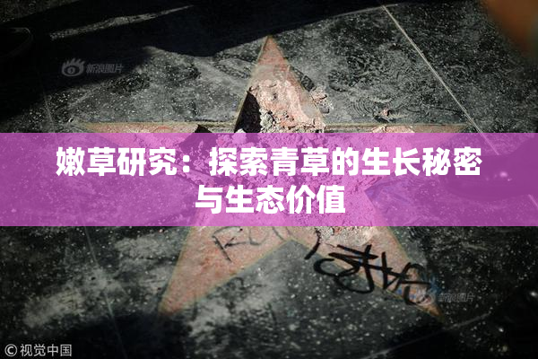 嫩草研究：探索青草的生长秘密与生态价值
