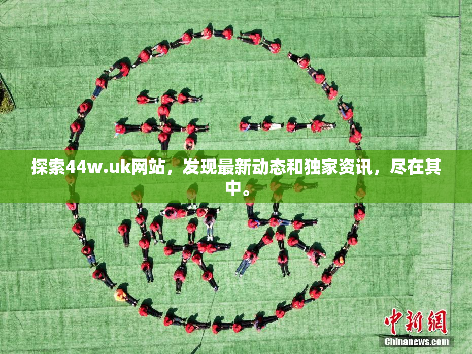 探索44w.uk网站，发现最新动态和独家资讯，尽在其中。