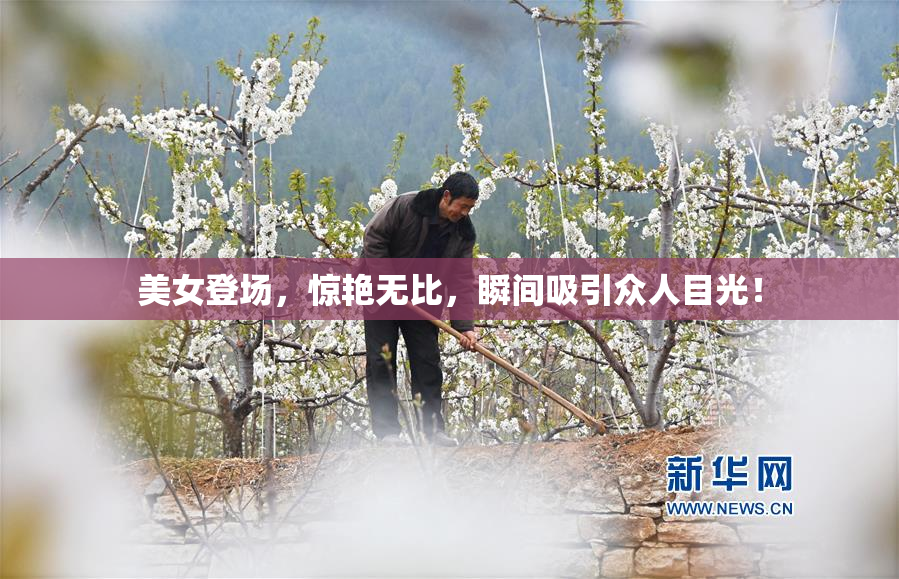 美女登场，惊艳无比，瞬间吸引众人目光！
