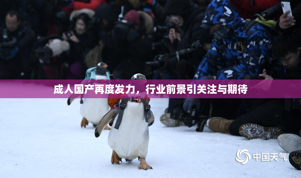 成人国产再度发力，行业前景引关注与期待