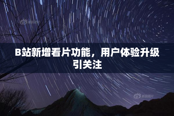 B站新增看片功能，用户体验升级引关注