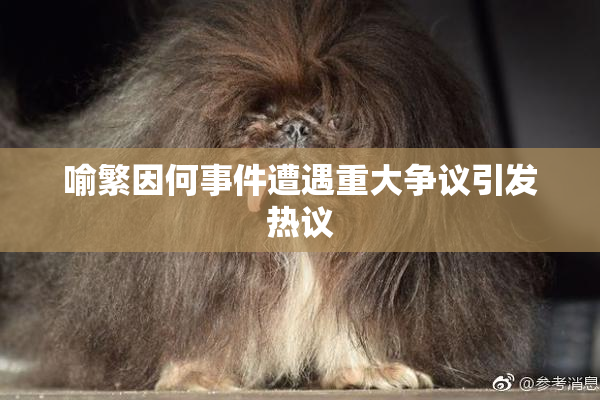 喻繁因何事件遭遇重大争议引发热议