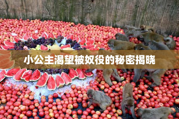小公主渴望被奴役的秘密揭晓