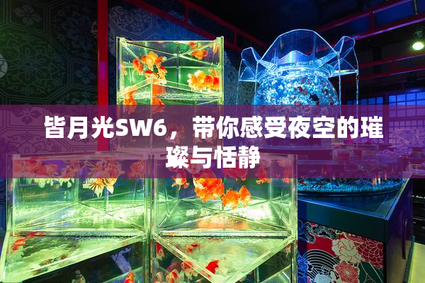 皆月光SW6，带你感受夜空的璀璨与恬静