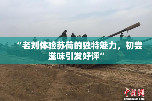 “老刘体验苏荷的独特魅力，初尝滋味引发好评”