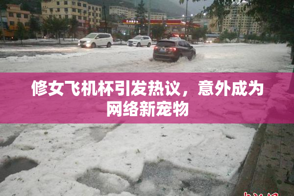 修女飞机杯引发热议，意外成为网络新宠物