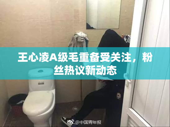 王心凌A级毛重备受关注，粉丝热议新动态