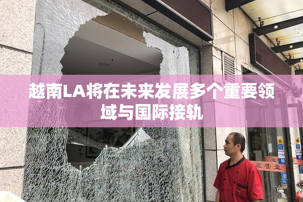 越南LA将在未来发展多个重要领域与国际接轨