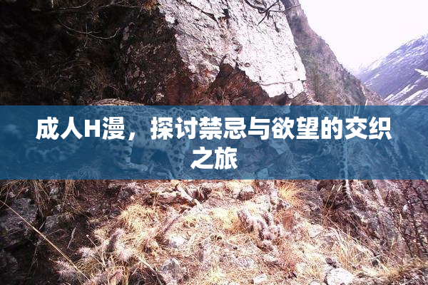 成人H漫，探讨禁忌与欲望的交织之旅