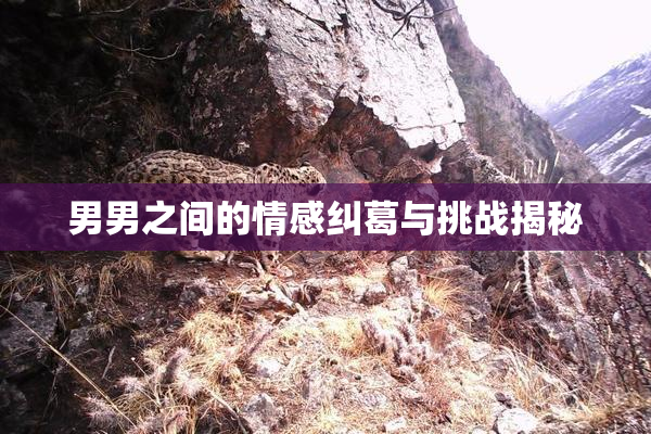 男男之间的情感纠葛与挑战揭秘
