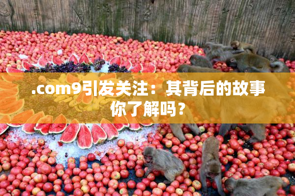 .com9引发关注：其背后的故事你了解吗？