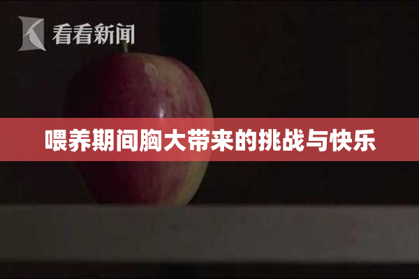 喂养期间胸大带来的挑战与快乐