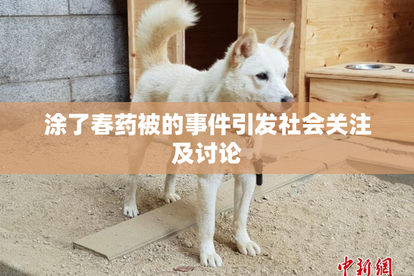 涂了春药被的事件引发社会关注及讨论