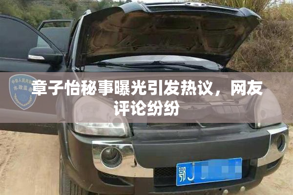 章子怡秘事曝光引发热议，网友评论纷纷