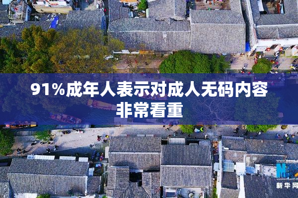 91%成年人表示对成人无码内容非常看重
