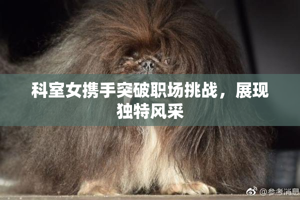 科室女携手突破职场挑战，展现独特风采