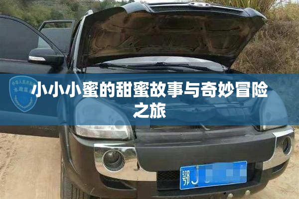 小小小蜜的甜蜜故事与奇妙冒险之旅