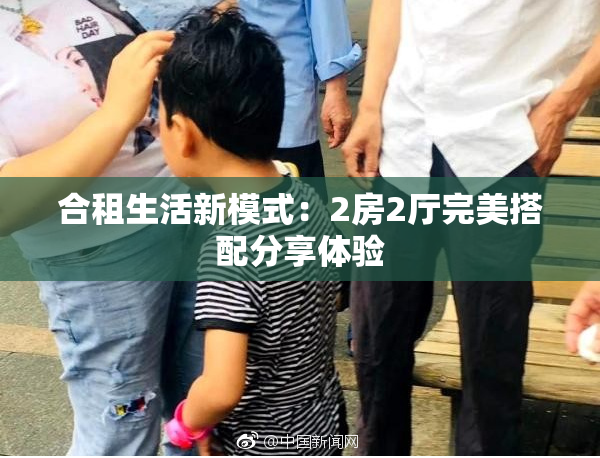 合租生活新模式：2房2厅完美搭配分享体验