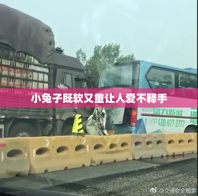 小兔子既软又重让人爱不释手