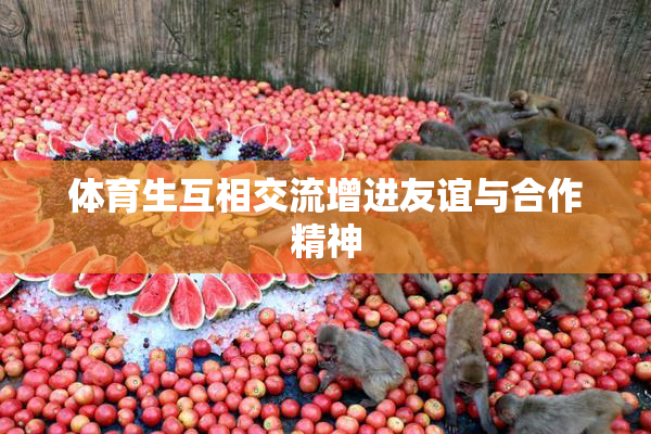 体育生互相交流增进友谊与合作精神