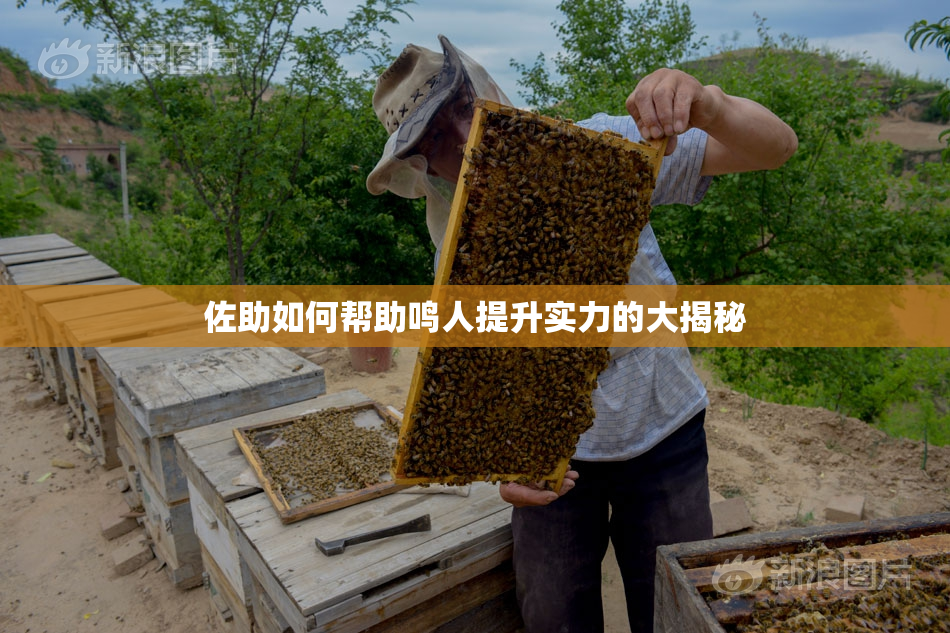 佐助如何帮助鸣人提升实力的大揭秘