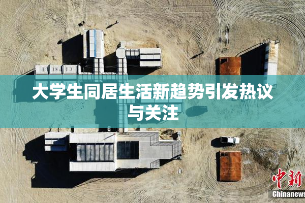 大学生同居生活新趋势引发热议与关注