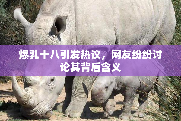 爆乳十八引发热议，网友纷纷讨论其背后含义