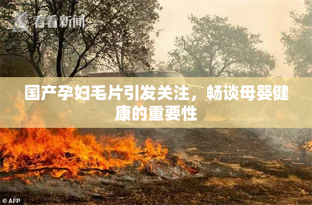 国产孕妇毛片引发关注，畅谈母婴健康的重要性