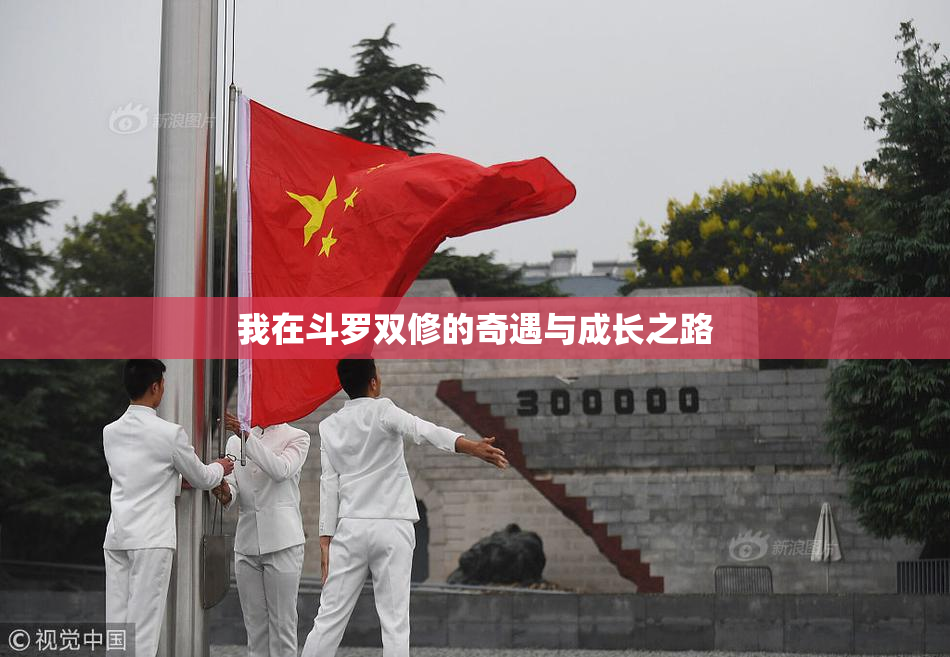 我在斗罗双修的奇遇与成长之路