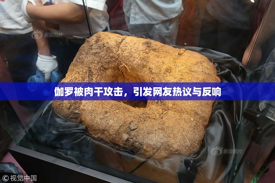 伽罗被肉干攻击，引发网友热议与反响
