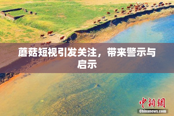 蘑菇短视引发关注，带来警示与启示