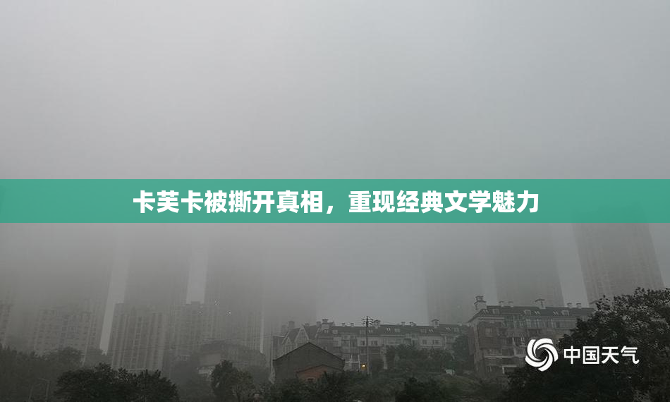 卡芙卡被撕开真相，重现经典文学魅力