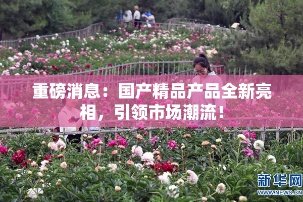 重磅消息：国产精品产品全新亮相，引领市场潮流！