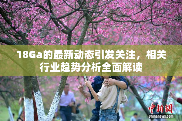18Ga的最新动态引发关注，相关行业趋势分析全面解读