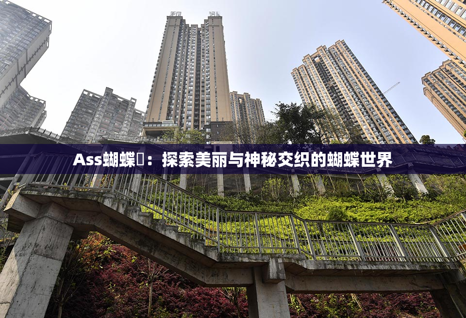 Ass蝴蝶泬：探索美丽与神秘交织的蝴蝶世界