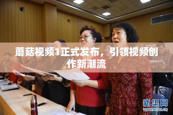 蘑菇视频1正式发布，引领视频创作新潮流